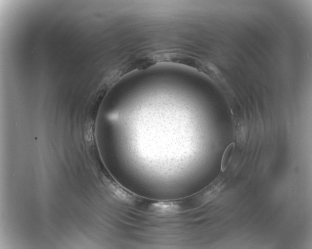 X0000066940477200603271141