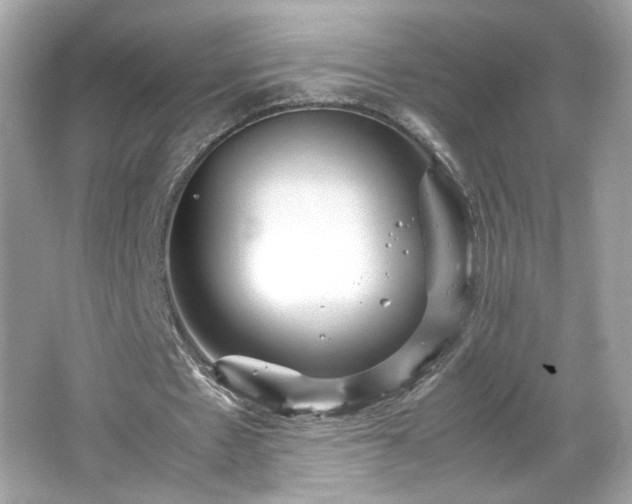 X0000066940481200603271141