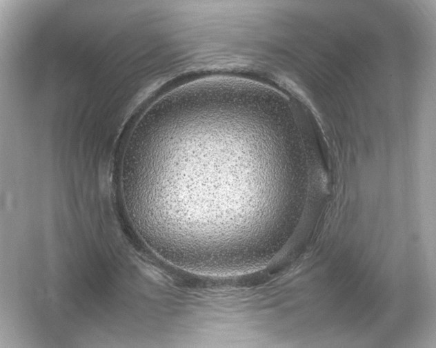 X0000066940483200603271141