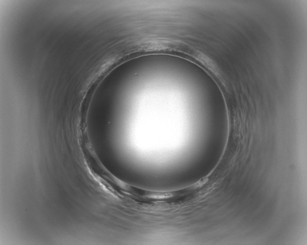 X0000066940485200603271141