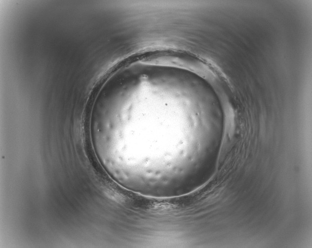 X0000066940487200603271141