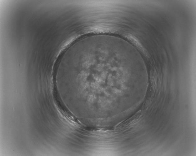 X0000066940488200603271141