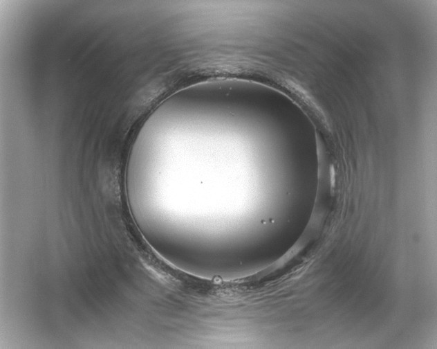 X0000066940489200603271141