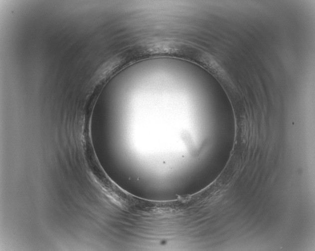 X0000066940490200603271141