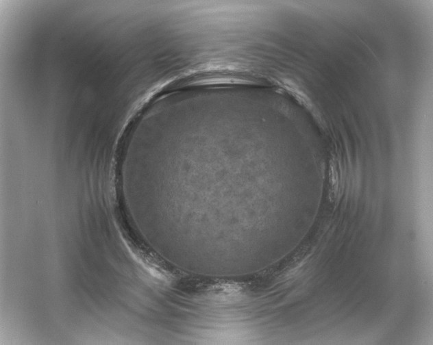 X0000066940492200603271141