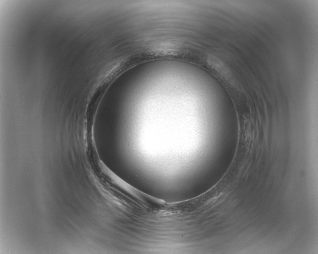 X0000066940494200603271141