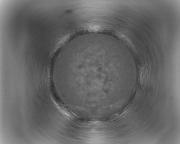 X0000066940496200603271140