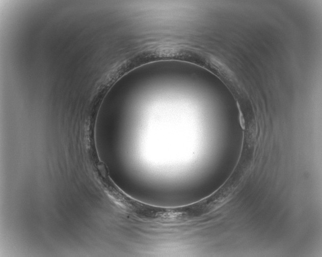 X0000066940497200603271140