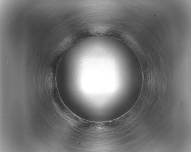 X0000066940498200603271140