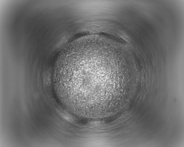 X0000066940499200603271140