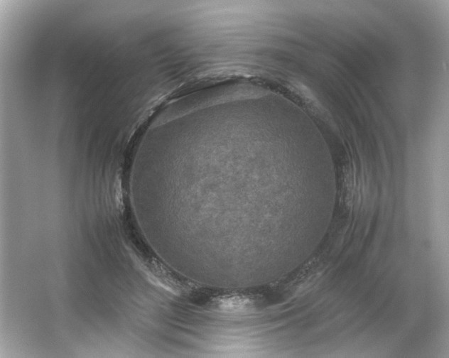 X0000066940500200603271140