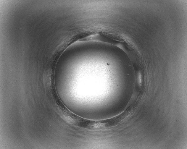 X0000066940501200603271140