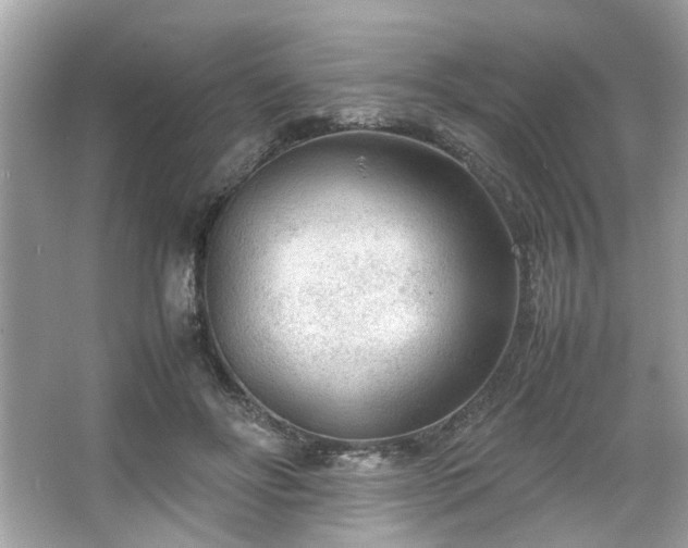 X0000066940502200603271140