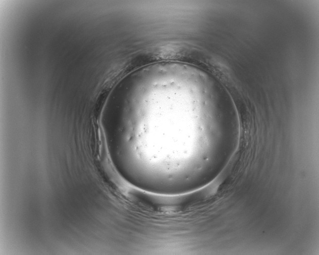 X0000066940503200603271140