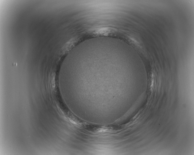 X0000066940504200603271140