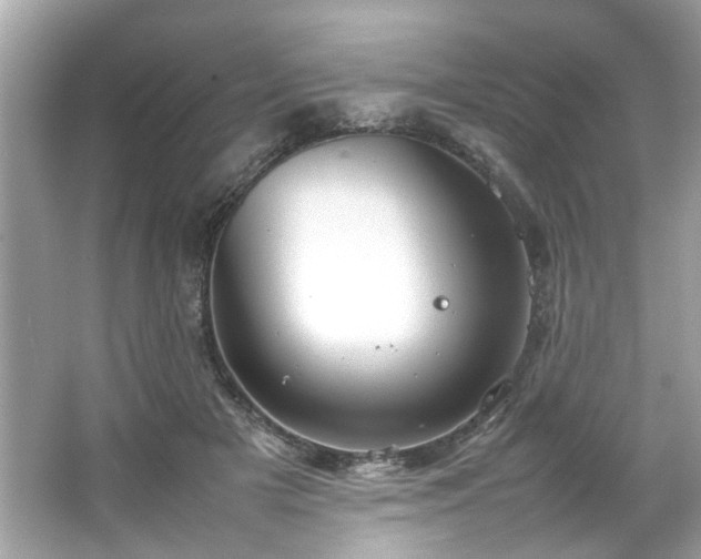 X0000066940505200603271140