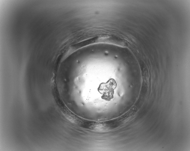 X0000066940507200603271140