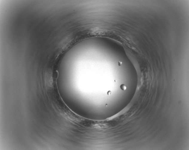 X0000066940508200603271140