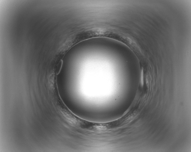 X0000066940509200603271140