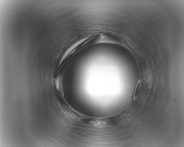 X0000066940512200603271140