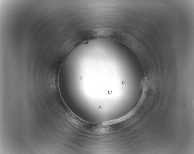 X0000066940514200603271140