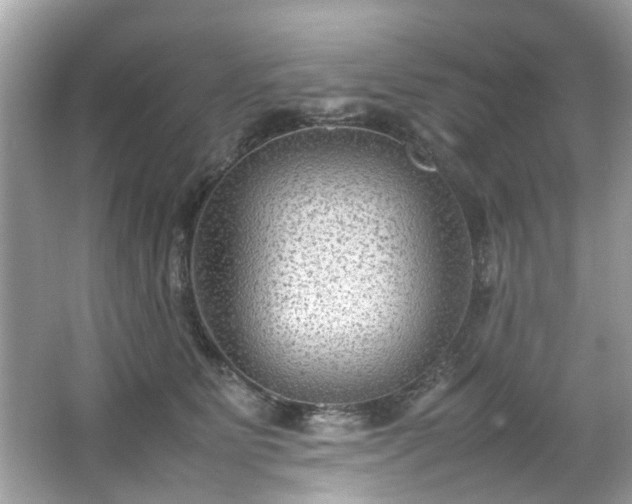 X0000066940515200603271140