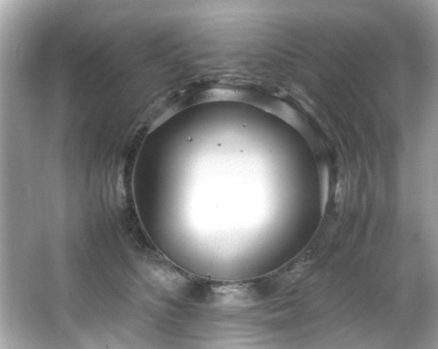 X0000066940516200603271140