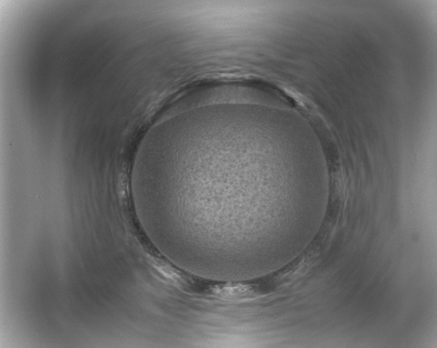 X0000066940517200603271140