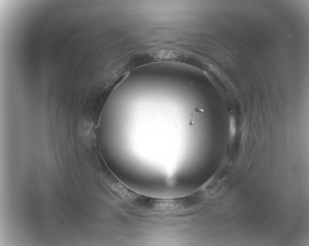 X0000066940521200603271140