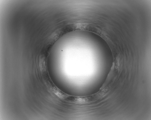 X0000066940522200603271140