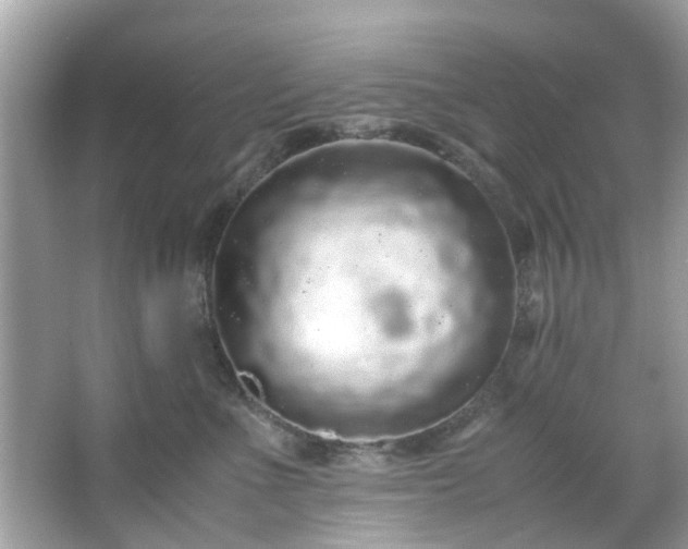 X0000066940523200603271140