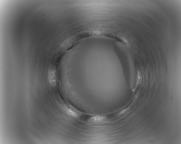 X0000066940526200603271140