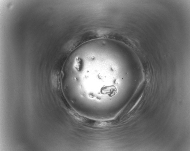 X0000066940527200603271140