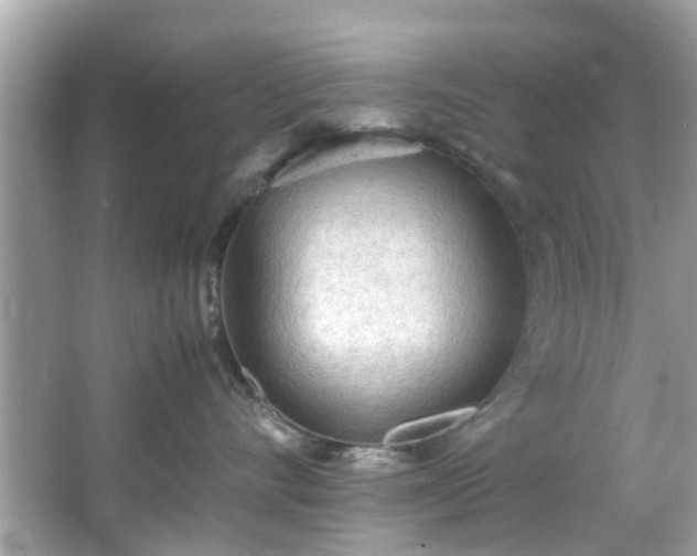 X0000066940528200603271140