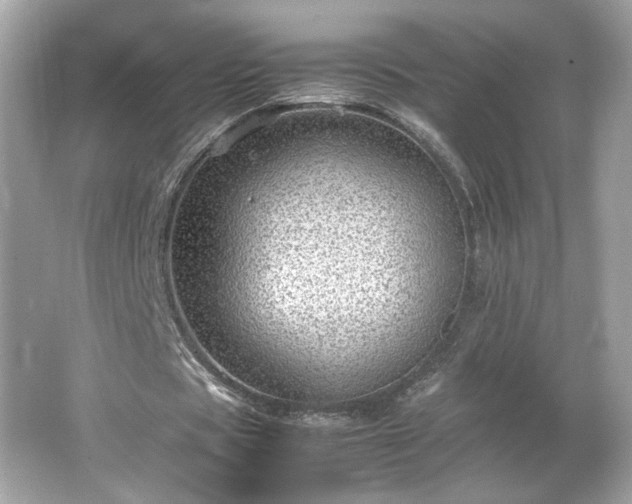 X0000066940529200603271139