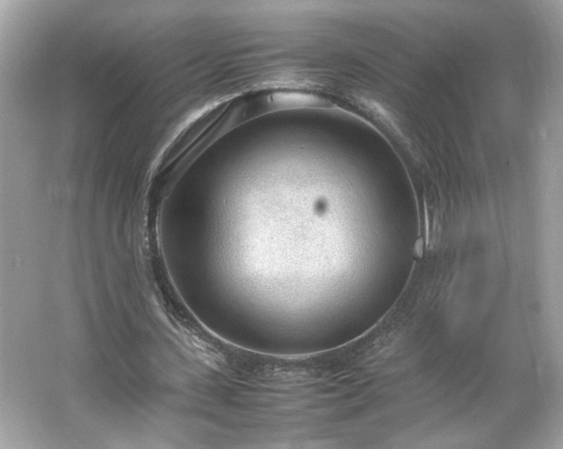 X0000066940531200603271139