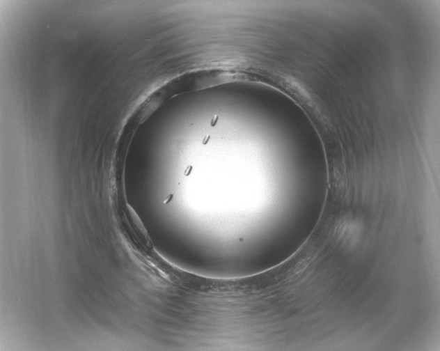 X0000066940532200603271139