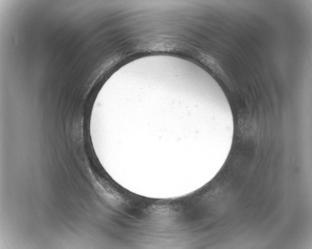 X0000066940534200603271139