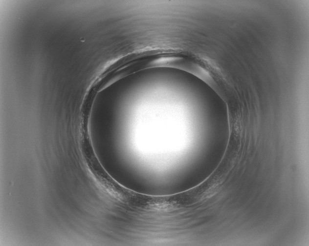 X0000066940540200603271139