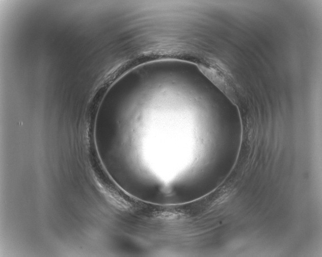 X0000066940542200603271139