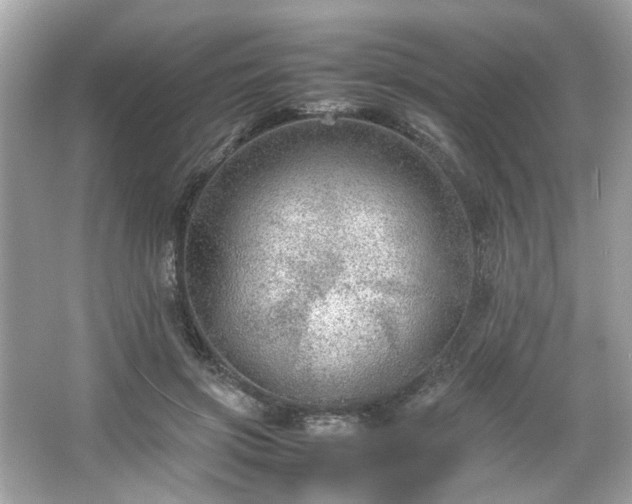 X0000066940549200603271139