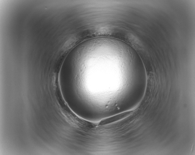 X0000066940550200603271140