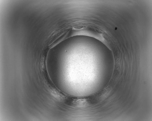 X0000066940554200603271140