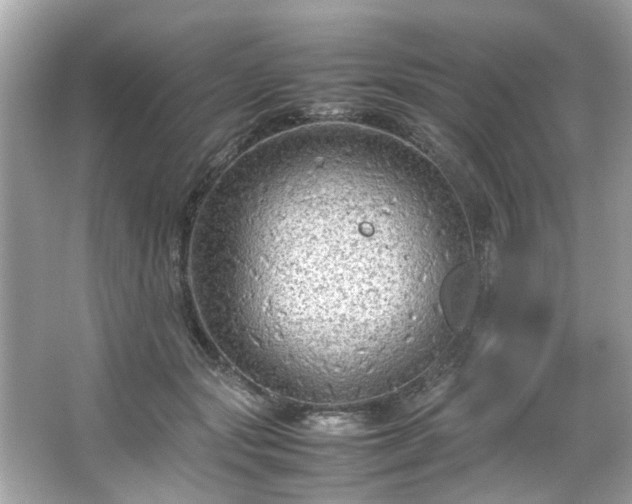 X0000066940557200603271140