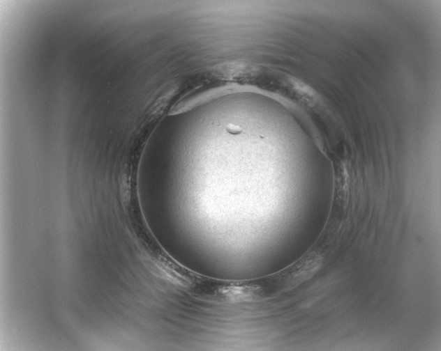 X0000066940558200603271140