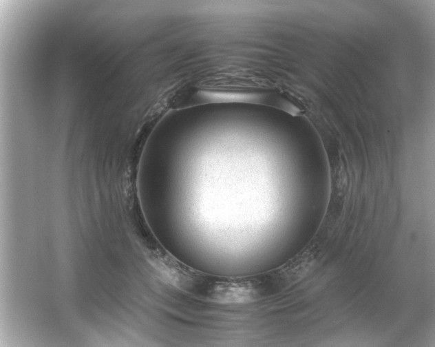 X0000066940559200603271140