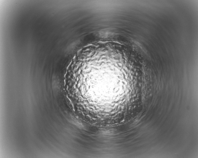 X0000066940569200603271140