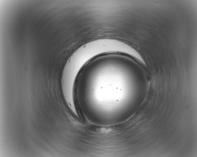 X0000066940570200603271140