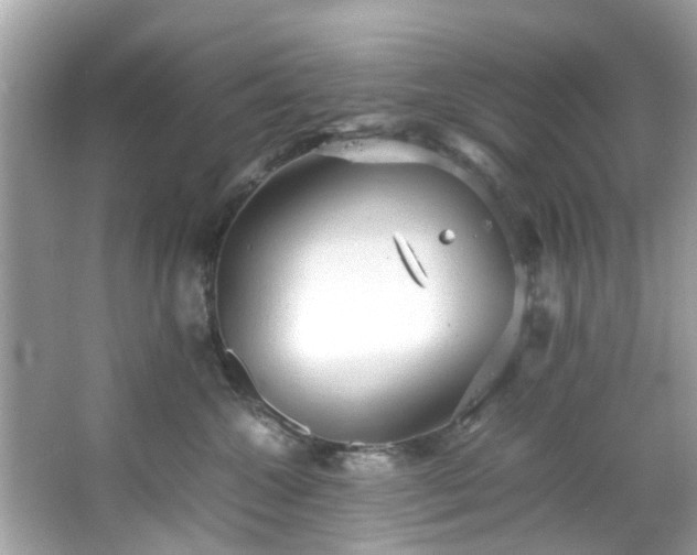 X0000066940572200603271140