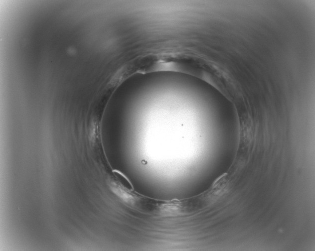 X0000066940574200603271140